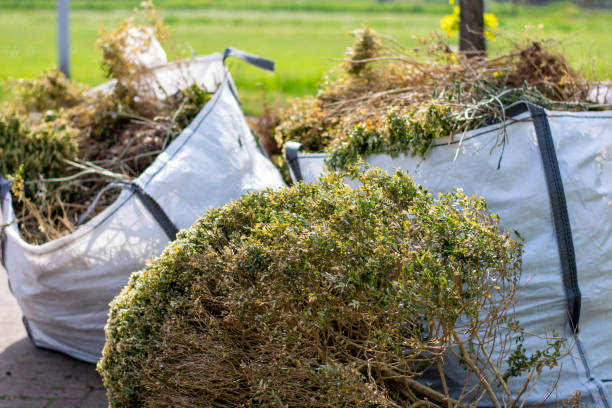 Best Furniture Removal  in Golden Triangle, NJ